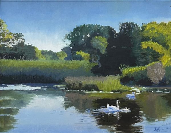 Pussy's Pond: painting of white swans on a still pond, with reeds, green shrubs and tall trees reflected in the water under a blue sky.